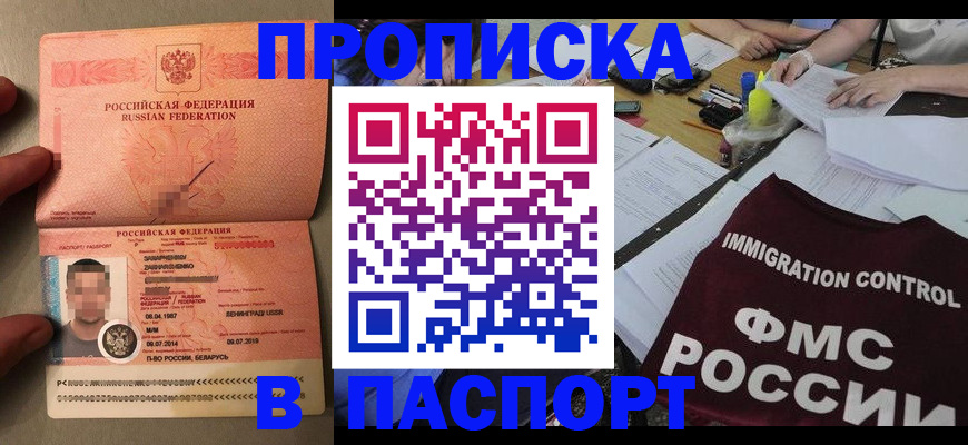 временная регистрация поиск в Кингисеппе